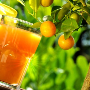 zumo-naranja, cancer, nutricion